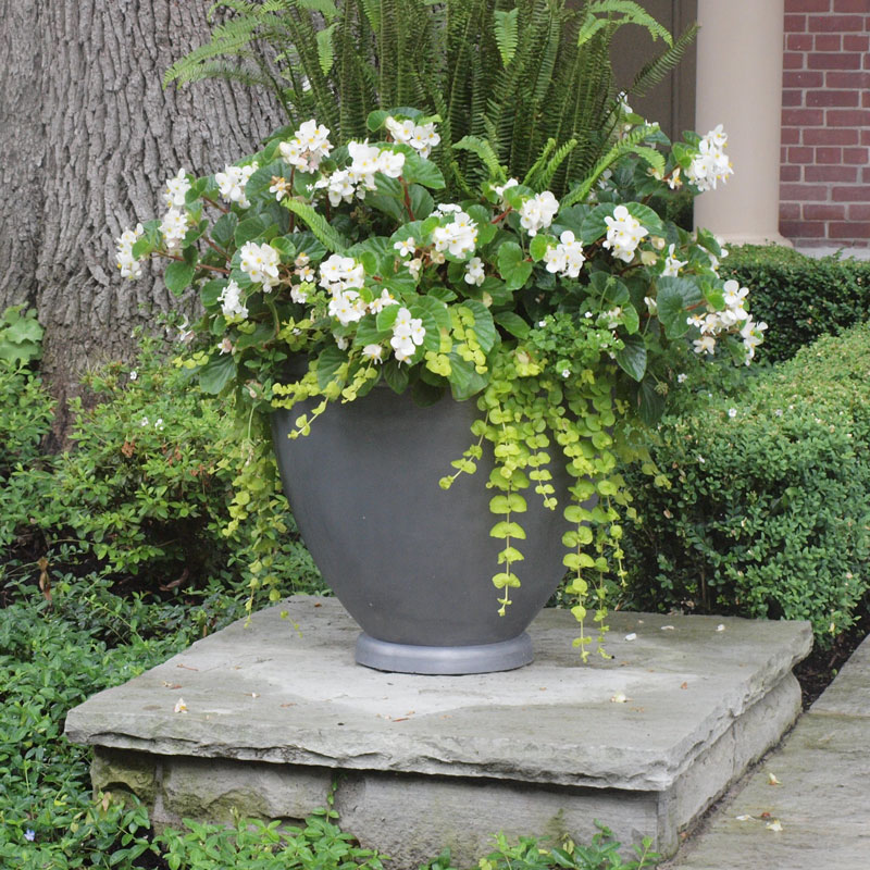 Lead Planters By Bromsgrove Garden